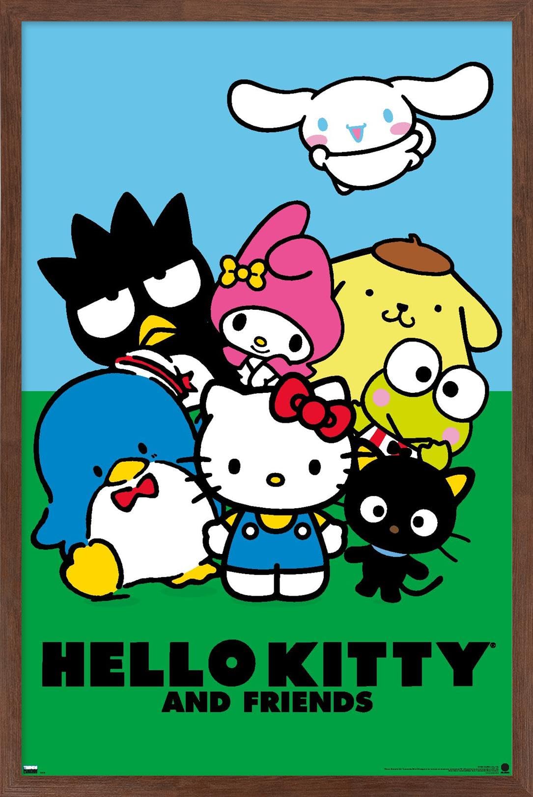 Amazon.com: Hello Kitty and Friends: 21 Core - Standing Wall